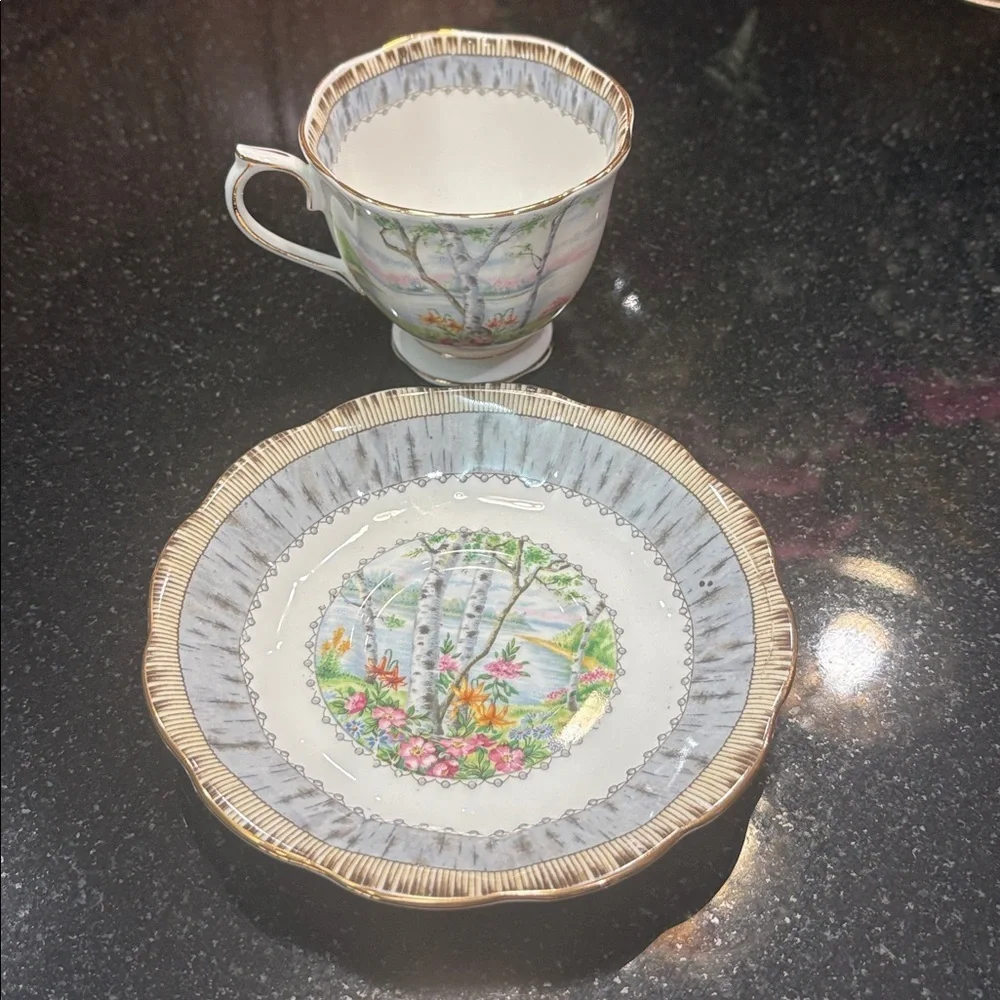 Vintage Royal Albert Floral Silver Birch Bone China Cup & Saucer with Gold Trim